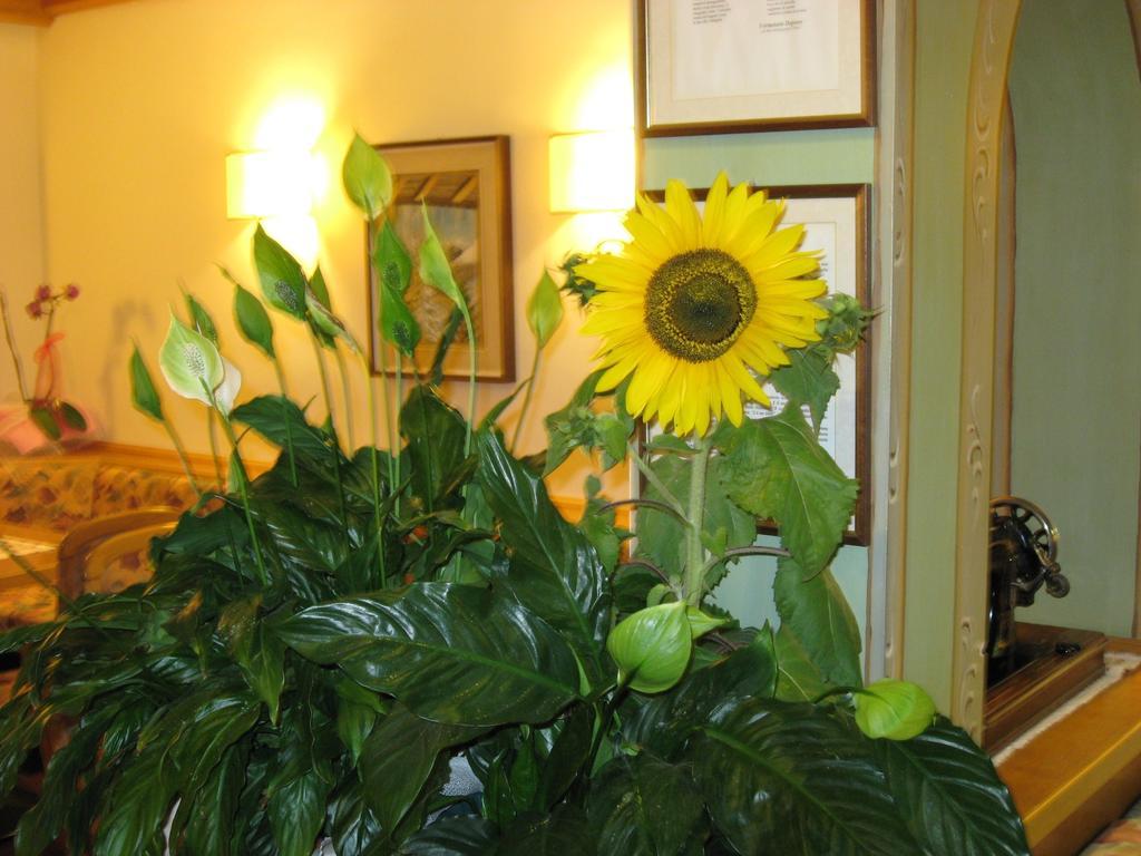 Albergo Villa Cristina Folgaria Bagian luar foto